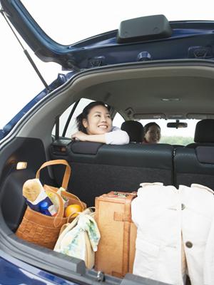 今まで車検の費用で不満がある方には