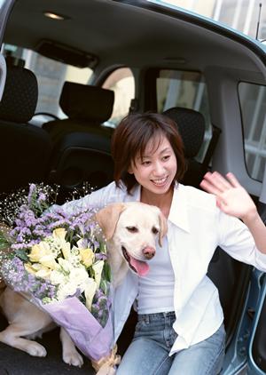 越谷市の店舗の車検は事前予約でお得に