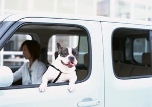 一宮市で新車に安く乗る方法を知る