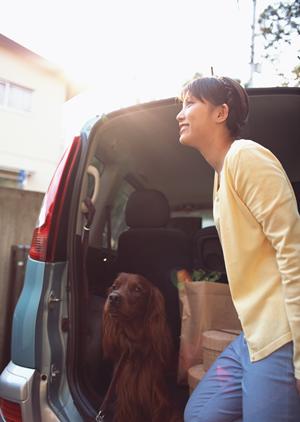 信頼できる車検店舗の選び方とおすすめサービス完全ガイド